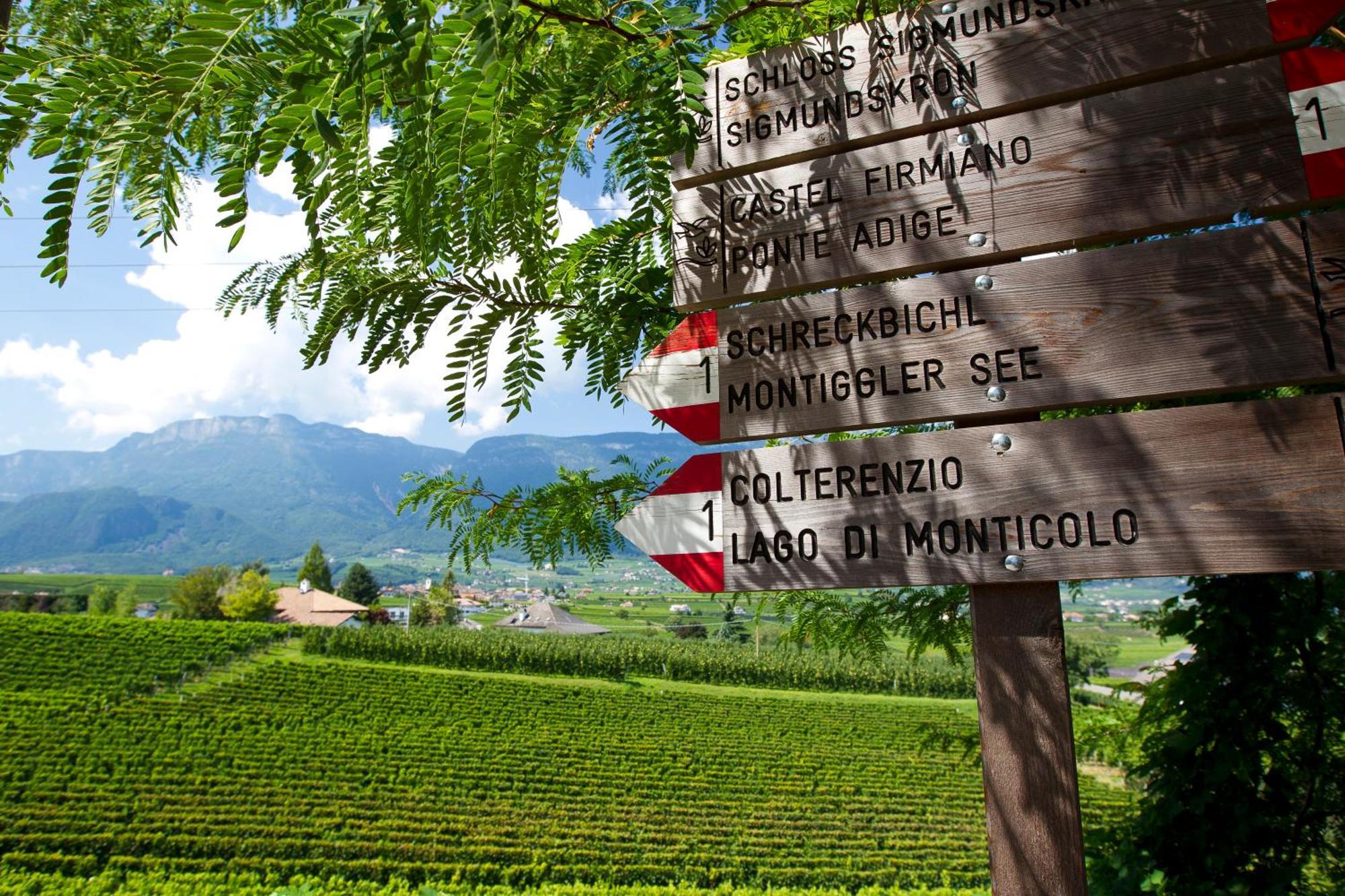 Hotel Girlanerhof Appiano Sulla Strada Del Vino Exterior photo